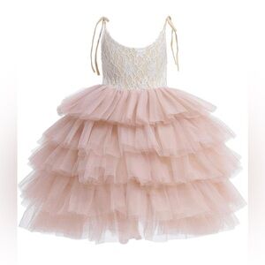Lace Mesh Party Dress Flower girl dress pink